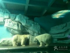 -泉城欧乐堡海洋极地世界