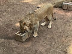 -昆明动物园