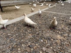 -中国人民抗日战争胜利受降纪念馆