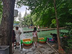 -大鹅岛绿色生态美食园