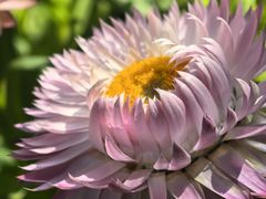 -天然居(伦教店)