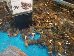 -盒马鲜生(岭南新世界店)