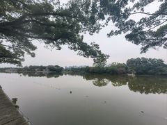 -江心屿景区