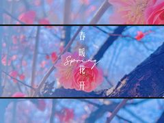 -国家植物园