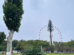-东湖磨山景区