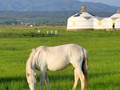 -敕勒川草原文化旅游区