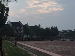-鹅湖玫瑰文化园