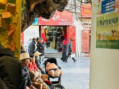 -古树酸奶(八廓南街店)