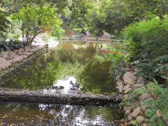 -成都市活水公园