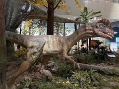 -湖南省地质博物馆