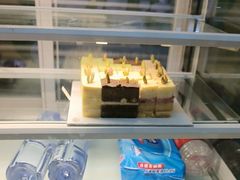 -维尔纳斯·生日蛋糕动物奶油冰淇淋蛋糕(人大店)