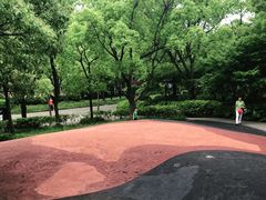 -黄兴公园