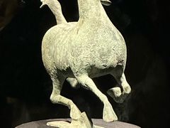 -甘肃省博物馆