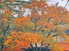 -北京石刻艺术博物馆(五塔寺)