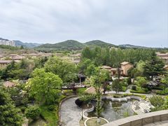 -青岛香根温泉酒店