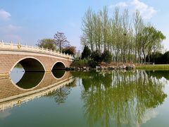 -大兴滨河森林公园