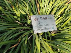 -广州神农草堂中医药博物馆