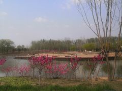 -东郊湿地公园