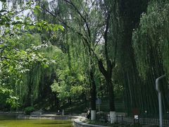 -西安市长乐公园