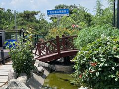 -蘇河湾·新鲁菜·泰山宴(泰山店)