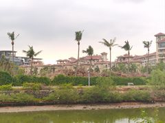 -万绿园
