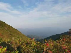 -大围山国家森林公园