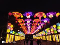 -青岛方特梦幻王国