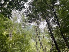 -叠溪松坪沟景区