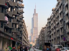 -陶记正宗德州扒鸡(科巷店)