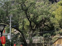 -黄檀硐景区