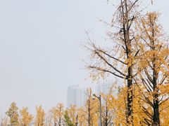 -两江幸福广场