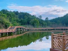 -神光山国家森林公园