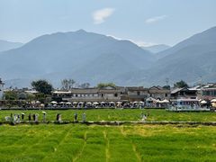 -喜林苑·稻田餐厅(品相府店)