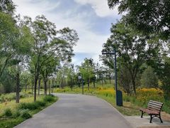 -东郊湿地公园