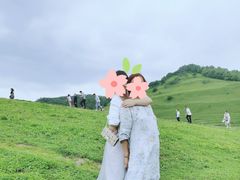 -关山草原
