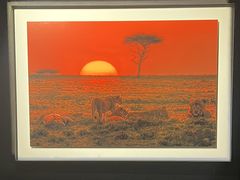 -罗红摄影艺术馆