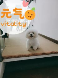 -肌理言健康美肌驻颜所