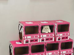 -静宜和她的朋友(星海广场店)