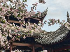 -棠湖公园