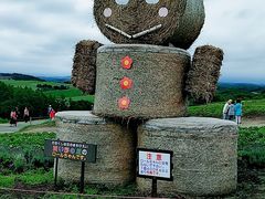 -富田农场