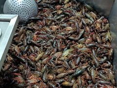 -拙味兄弟龙虾·江湖菜(和畅堂店)