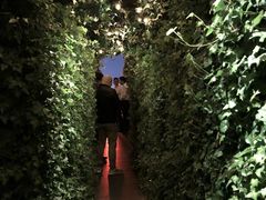-顶层酒吧ROOF(上海艾迪逊酒店)