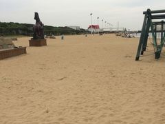 -碧海金沙