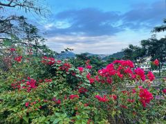 -鹿回头风景区