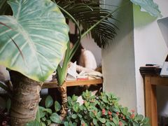 -闲·胡同 Barblu Hutong(雍和宫五道营店)