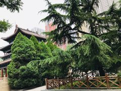 -迎泽公园