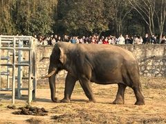 -西安秦岭野生动物园