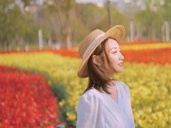 -大宁郁金香公园-停车场