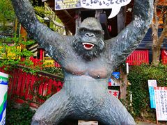 -宫城藏王狐狸村