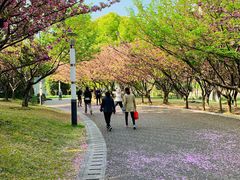 -苏州河梦清园环保主题公园